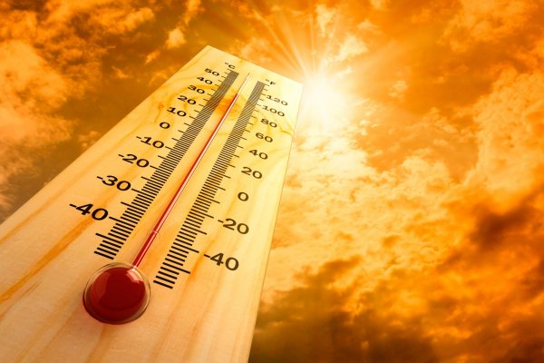 СМИ: Из-за жары в Канаде умерли 16 человек