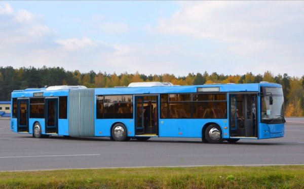 МАЗ выпустит новый просторный автобус-гармошку