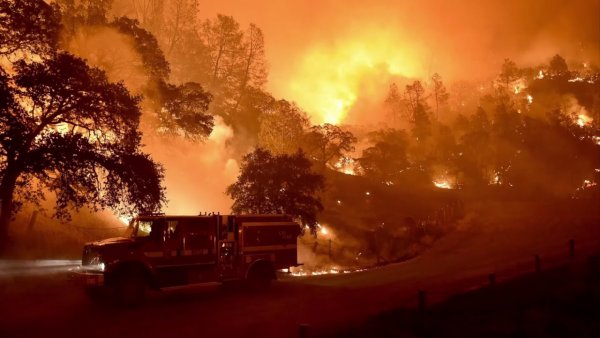 В Калифорнии горят свыше 15 тыс. гектаров леса