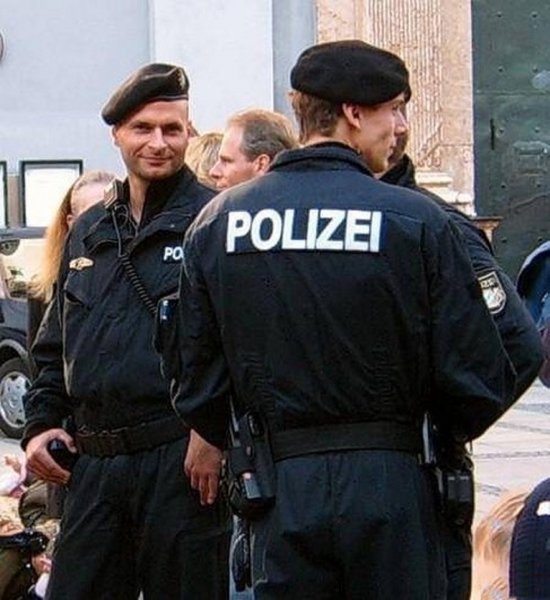 В Германии арестовали заговорщиков-неонацистов за попытку госпереворота