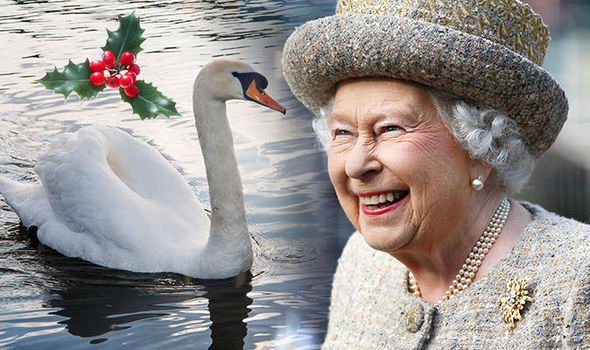 Королева Елизавета II на Рождество заказала блюдо из лебедя – СМИ